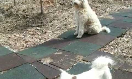 남양펜션 이미지