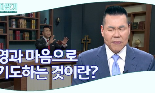 보라자판기 이미지