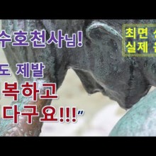 수호ENG 이미지