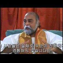원네스 이미지