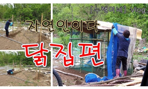 자연닭집 이미지