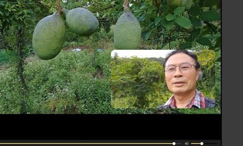 김동식스튜디오 이미지