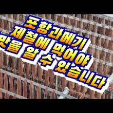 김판수과메기 이미지