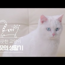 캣끗 이미지