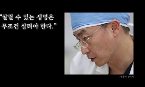 시아원 이미지