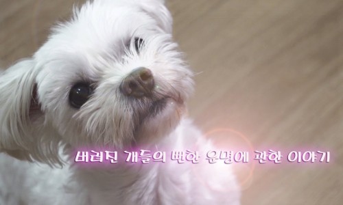 터치아트 이미지