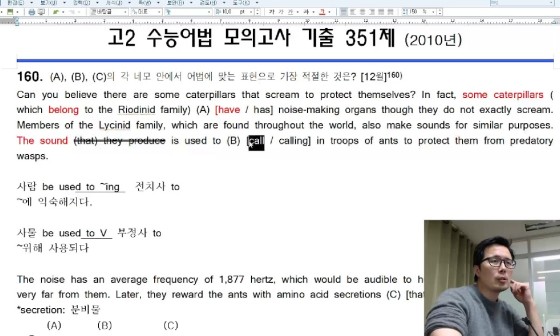 대부사 이미지