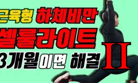 삐약스핏 이미지