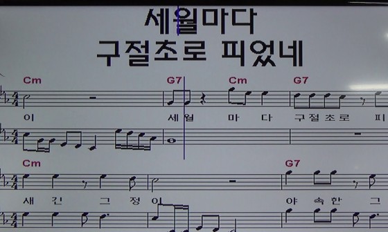 영피부사랑 이미지