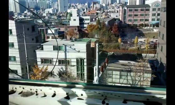 왕창닦기 이미지