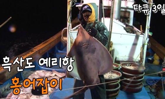 흑산도홍어 이미지