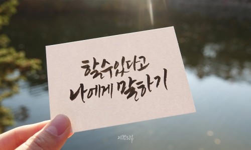 제일문구드림 이미지