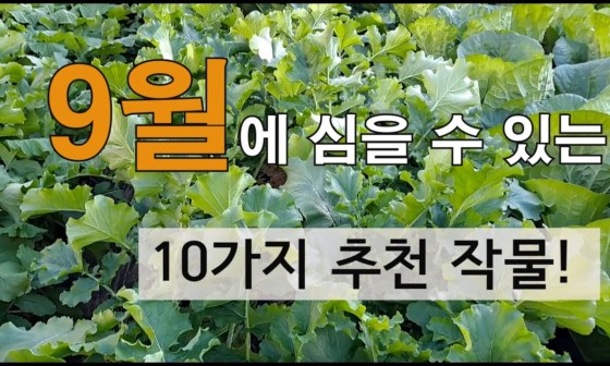 철&빈 이미지