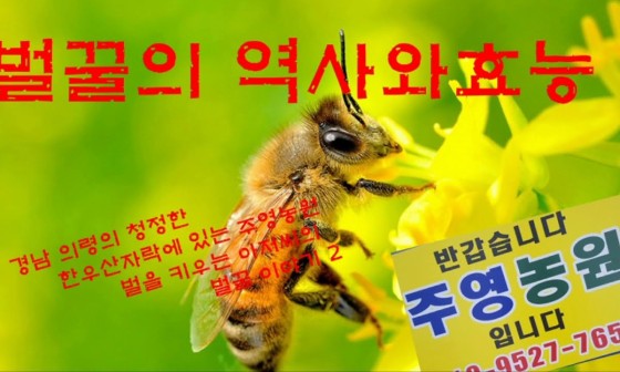 주영농원 이미지