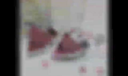 수피아리본 이미지