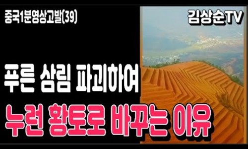 삼림영상 이미지