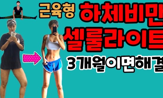 삐약스핏 이미지