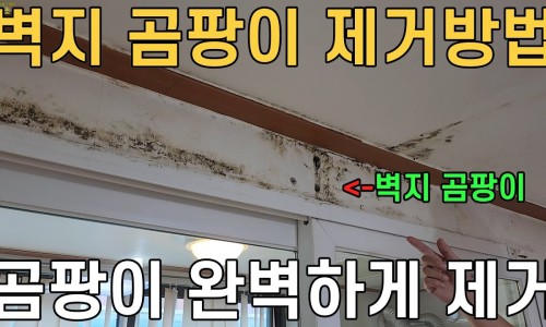 매직청소TV 이미지