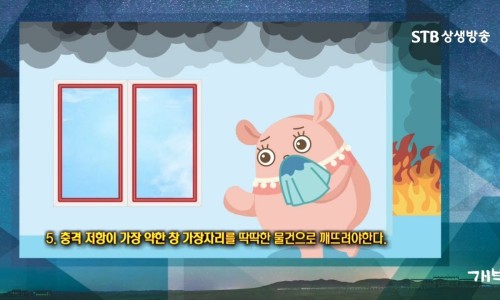 신갑연 이미지