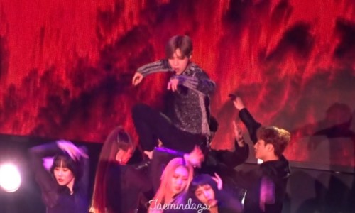 티미 이미지