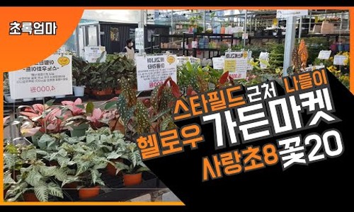 (주)더청화 이미지