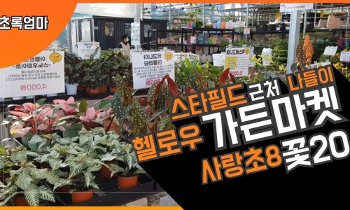 (주)더청화 이미지