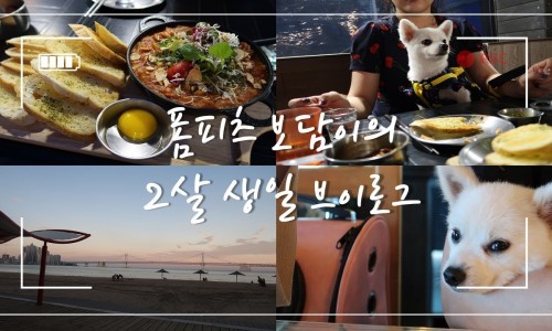 삥삥스튜디오 이미지
