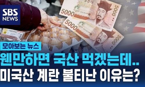 불티모아 이미지