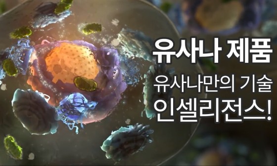 도연인터내셔널 이미지