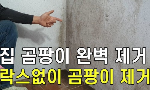 매직청소TV 이미지