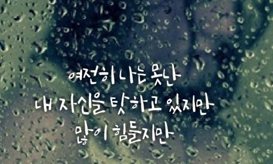 하비(Ravie) 이미지