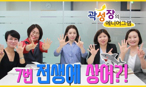 (주)모모 이미지
