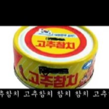 추참치 이미지