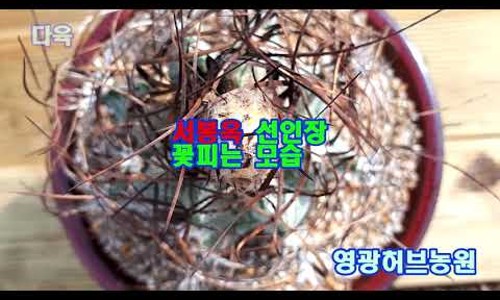 천년의빛농장 이미지