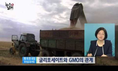 다국적식탁 이미지