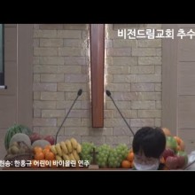 비전바이올린 이미지