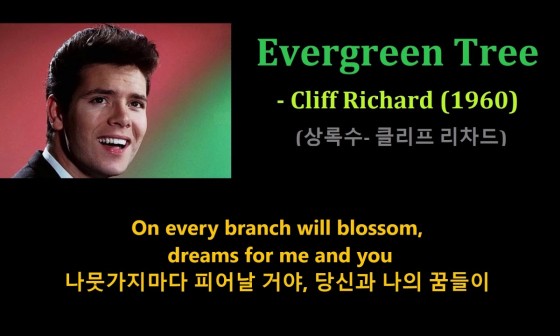 상록수(Evergreen) 이미지