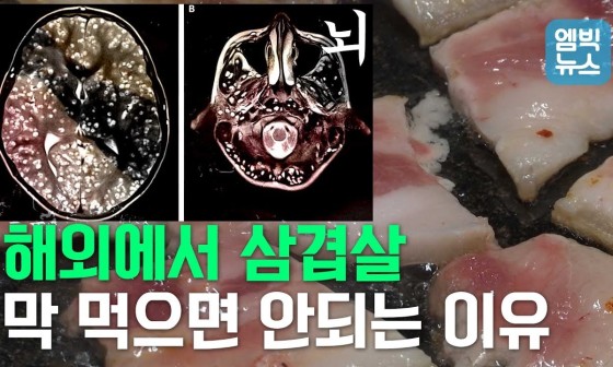 똥돼지 이미지