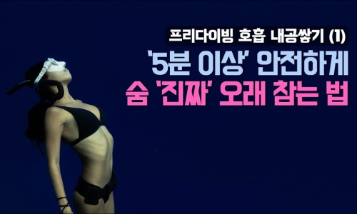 세컨디아즈 이미지