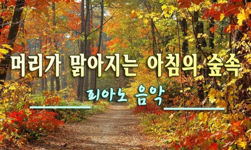 아침의숲 이미지