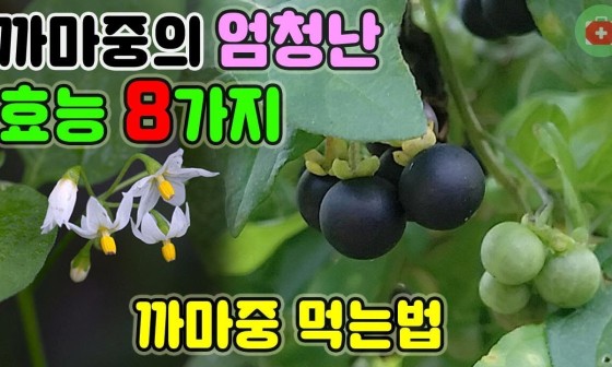 스마트폰세상 이미지