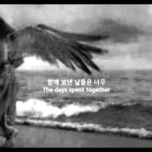 날개 이미지