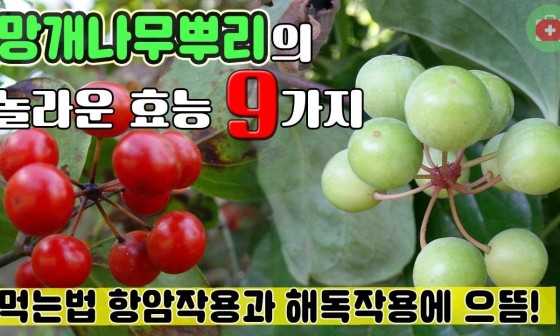 나무가람 이미지