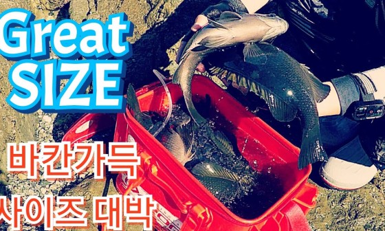 (주)바칸 이미지