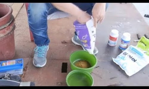 찌사랑낚시 이미지