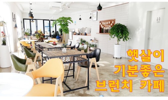 씨앗사랑 이미지