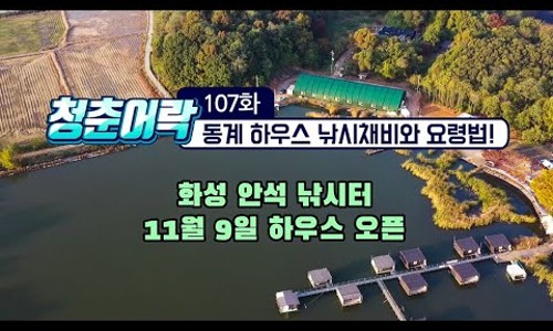 청춘어락 이미지