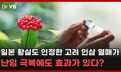 인삼열매(주) 이미지