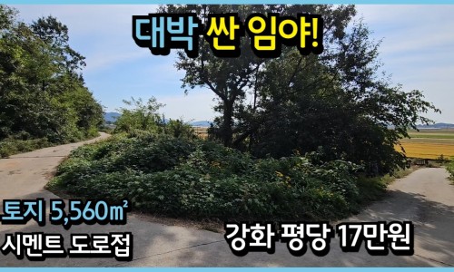 토지시장마트 이미지