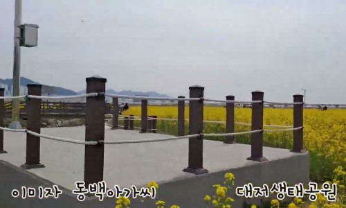 색소폰홀로서기 이미지